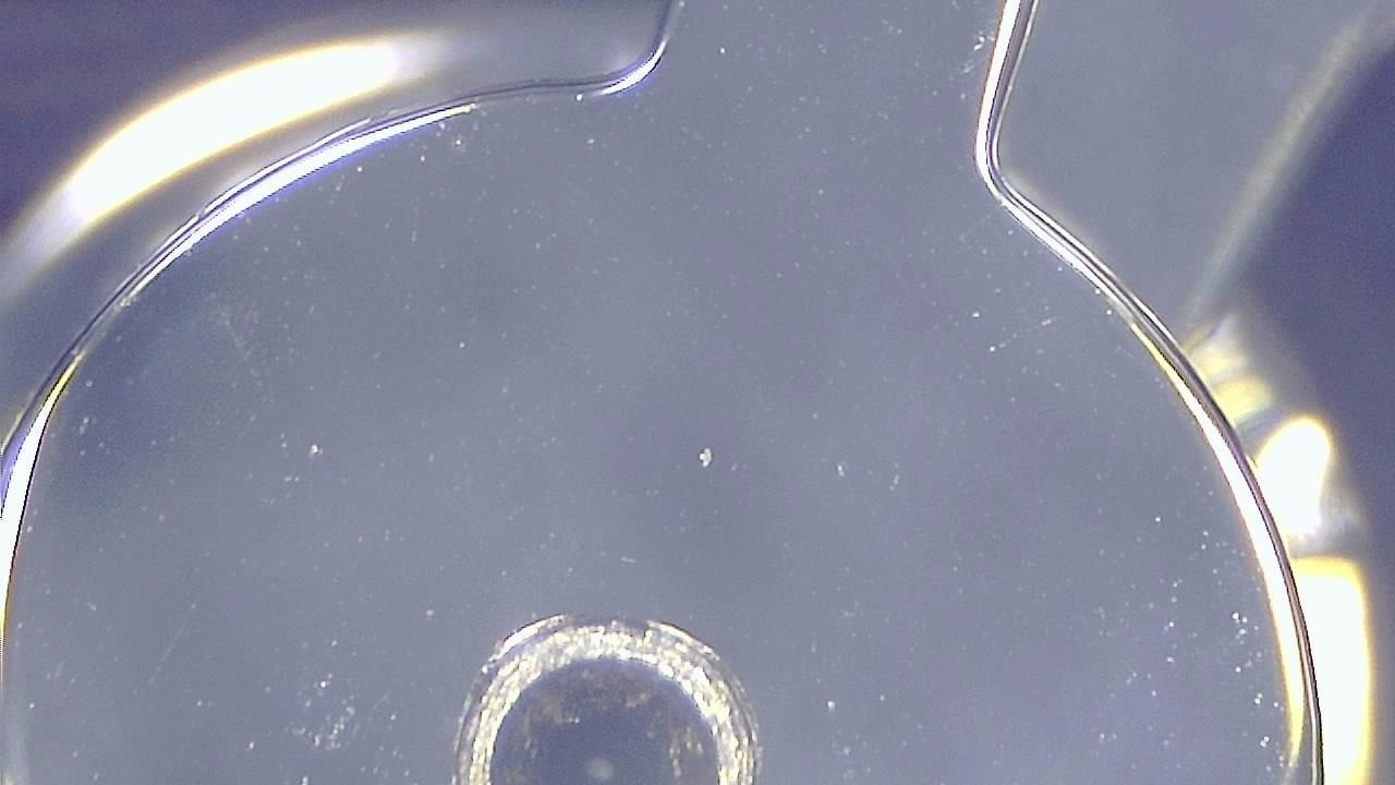Jewelry Inspection and Detail Documentation microscopy sample image 1