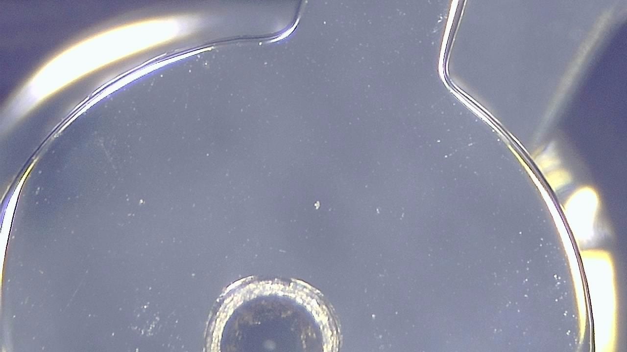 Jewelry Inspection and Detail Documentation microscopy sample image 1