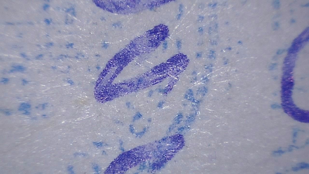 Forensic Surface Inspection microscopy sample image 1