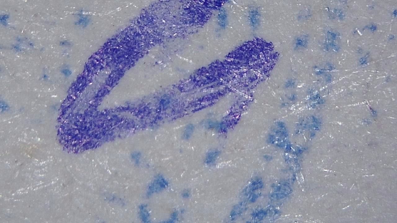 Forensic Surface Inspection microscopy sample image 2