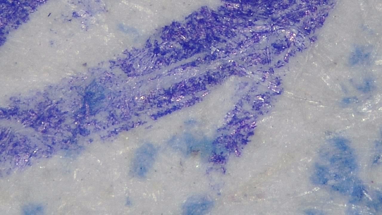 Forensic Surface Inspection microscopy sample image 4
