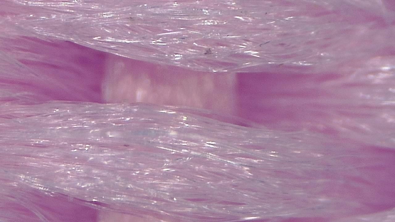 Textile and Fiber Inspection microscopy sample image 1
