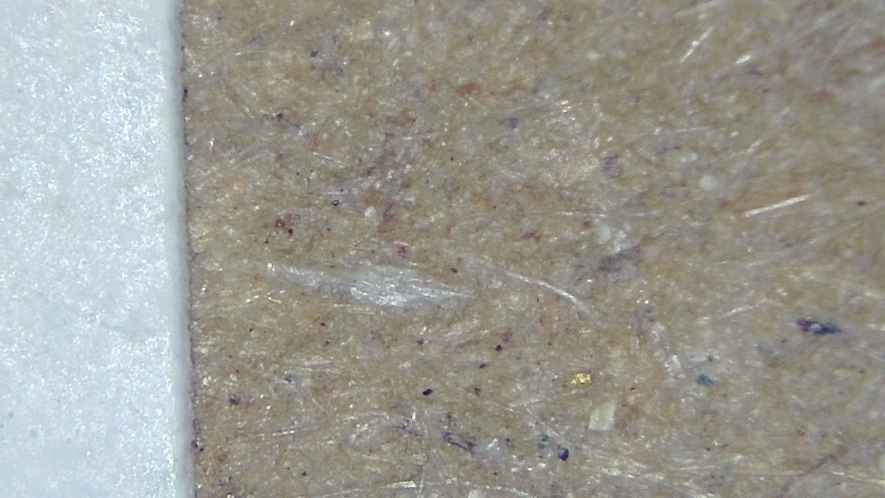 Quality Control and Visual Inspection microscopy sample image 16