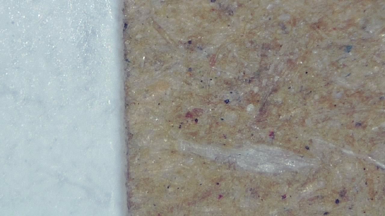 Quality Control and Visual Inspection microscopy sample image 17