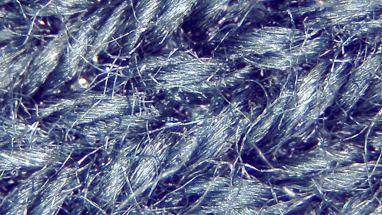 Textile and Fiber Inspection microscopy sample image 9