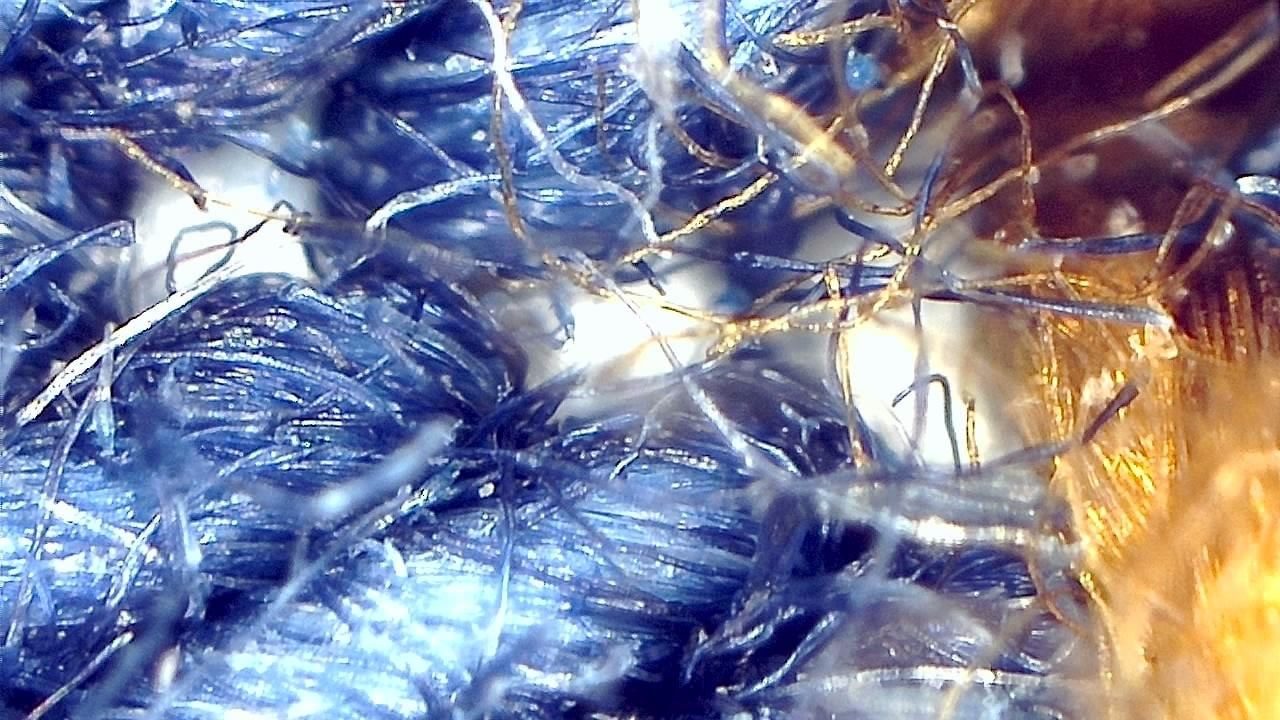 Textile and Fiber Inspection microscopy sample image 17