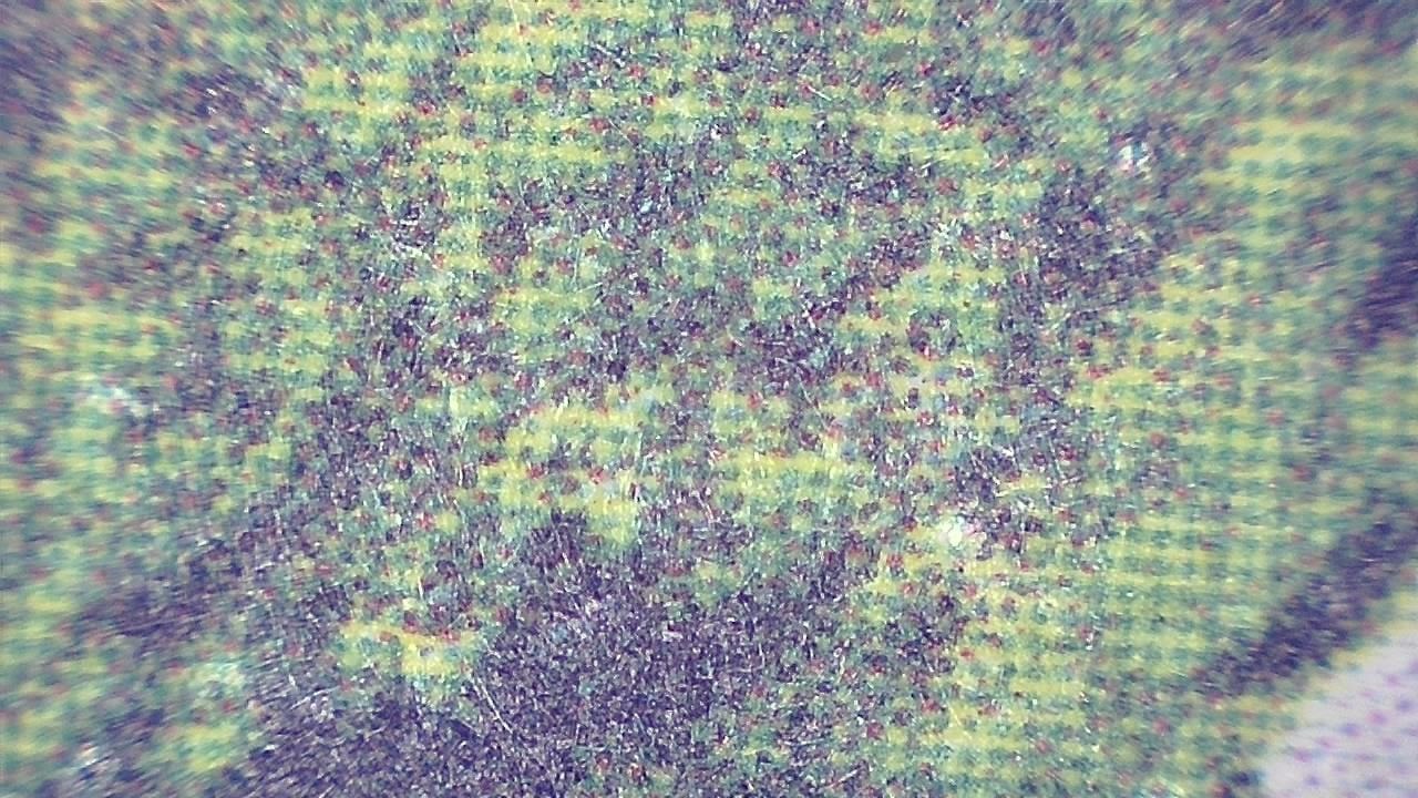 Print Inspection and Surface Quality Control microscopy sample image 11